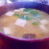 豆腐とエリンギと三つ葉の味噌汁